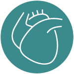 aortic abdominal aneurysm - memphis