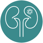 smoking and kidney cancer - memphis vascular center