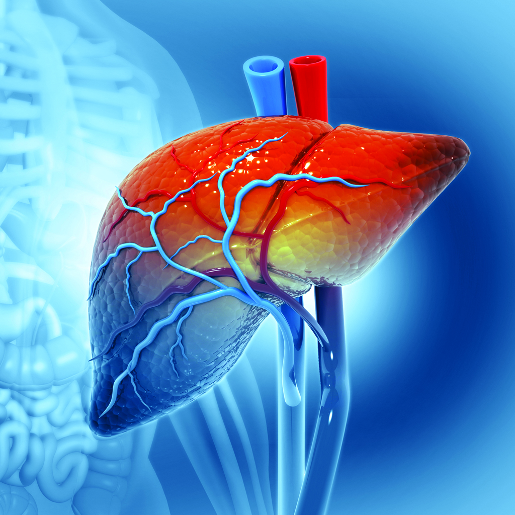 colon cancer in the liver